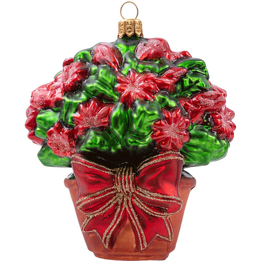 Impuls Christmas Cactus 9.5cm